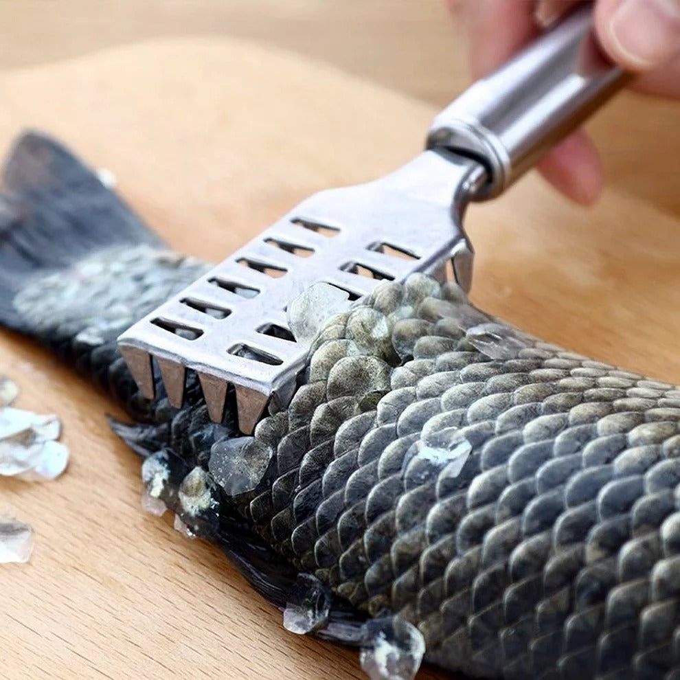 Fish Scale Remover – Sawtooth Stainless Steel Scraper