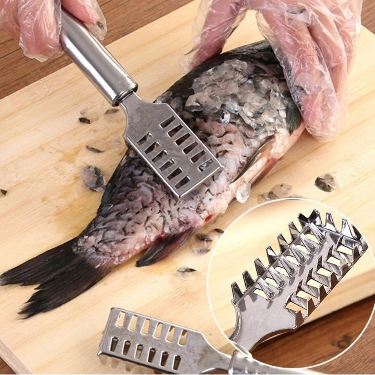 Fish Scale Remover – Sawtooth Stainless Steel Scraper